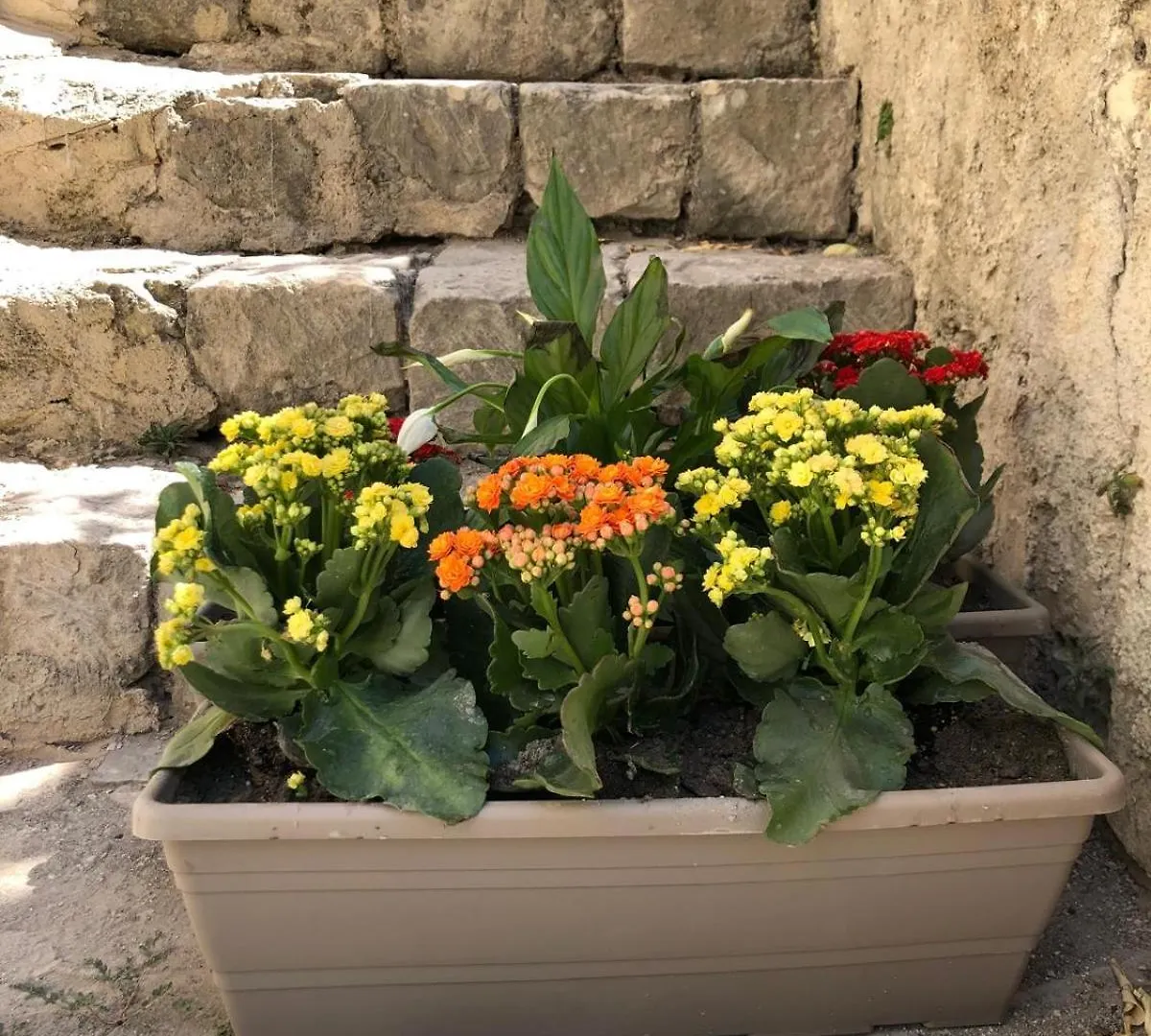 Σπίτι διακοπών Acciana Garden - Oasi Verde In Pieno Centro Storico - Modica Bassa